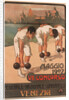VII Federal Gymnastics Competition, 1907 by Giovanni Battista Carpanetto