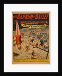 The Barnum & Bailey greatest show on earth. Scenes in the grand water circus, c. 1895 by The Strobridge Lithographing Company
