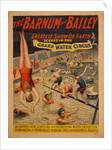 The Barnum & Bailey greatest show on earth. Scenes in the grand water circus, c. 1895 by The Strobridge Lithographing Company