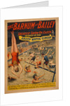 The Barnum & Bailey greatest show on earth. Scenes in the grand water circus, c. 1895 by The Strobridge Lithographing Company