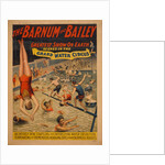 The Barnum & Bailey greatest show on earth. Scenes in the grand water circus, c. 1895 by The Strobridge Lithographing Company