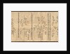 The Dunhuang Star map, ca 700 by Anonymous master
