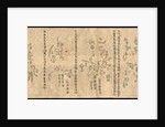 The Dunhuang Star map, ca 700 by Anonymous master