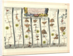 Britannia Atlas: The Continuation of the Road from London to Aberystwyth, 1675 by John Ogilby