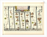 Britannia Atlas: The Continuation of the Road from London to Aberystwyth, 1675 by John Ogilby