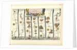 Britannia Atlas: The Continuation of the Road from London to Aberystwyth, 1675 by John Ogilby