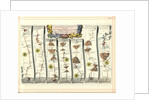 Britannia Atlas: The Continuation of the Road from London to Aberystwyth, 1675 by John Ogilby