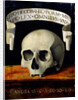Memento Mori, Early16th cen by Andrea Previtali
