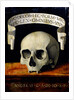 Memento Mori, Early16th cen by Andrea Previtali