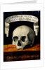 Memento Mori, Early16th cen by Andrea Previtali
