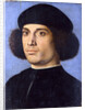 Portrait of a Man, Early16th cen by Andrea Previtali