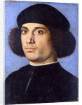 Portrait of a Man, Early16th cen by Andrea Previtali