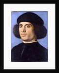 Portrait of a Man, Early16th cen by Andrea Previtali
