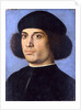 Portrait of a Man, Early16th cen by Andrea Previtali