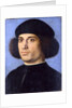Portrait of a Man, Early16th cen by Andrea Previtali