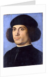 Portrait of a Man, Early16th cen by Andrea Previtali