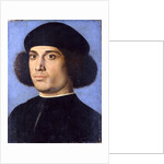 Portrait of a Man, Early16th cen by Andrea Previtali