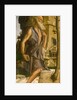 Saint Jerome, 1482 by Bartolomeo Montagna