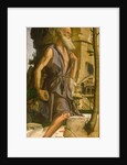 Saint Jerome, 1482 by Bartolomeo Montagna