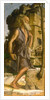 Saint Jerome, 1482 by Bartolomeo Montagna