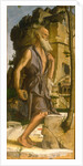 Saint Jerome, 1482 by Bartolomeo Montagna