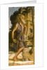 Saint Jerome, 1482 by Bartolomeo Montagna