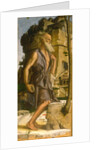 Saint Jerome, 1482 by Bartolomeo Montagna