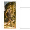 Saint Jerome, 1482 by Bartolomeo Montagna