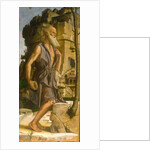 Saint Jerome, 1482 by Bartolomeo Montagna