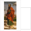 Saint Paul, 1482 by Bartolomeo Montagna