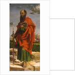 Saint Paul, 1482 by Bartolomeo Montagna
