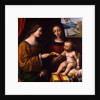The Mystical Marriage of Saint Catherine, c. 1520 by Bernardino Luini