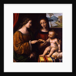 The Mystical Marriage of Saint Catherine, c. 1520 by Bernardino Luini