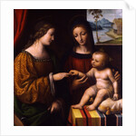 The Mystical Marriage of Saint Catherine, c. 1520 by Bernardino Luini