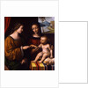 The Mystical Marriage of Saint Catherine, c. 1520 by Bernardino Luini