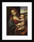 Virgin and Child, 1510-1525 by Giampietrino