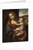 Virgin and Child, 1510-1525 by Giampietrino