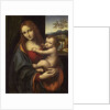 Virgin and Child, 1510-1525 by Giampietrino