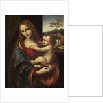 Virgin and Child, 1510-1525 by Giampietrino