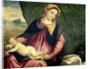Madonna with Sleeping Child, Between 1540 and 1560 by Paris Bordone