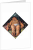 Dying Adonis, 1609 by Hendrick Goltzius