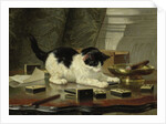Kittens Game, ca 1860-1870 by Henriëtte Ronner-Knip