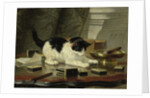 Kittens Game, ca 1860-1870 by Henriëtte Ronner-Knip