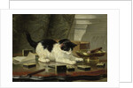 Kittens Game, ca 1860-1870 by Henriëtte Ronner-Knip