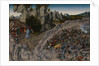 The Crossing of the Red Sea (Pharaohs Hosts engulfed in the Red Sea), 1530 by Lucas Cranach the Elder