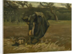 Peasant woman, harvesting potatoes, 1885 by Vincent van Gogh