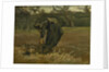 Peasant woman, harvesting potatoes, 1885 by Vincent van Gogh