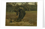 Peasant woman, harvesting potatoes, 1885 by Vincent van Gogh