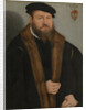 Portrait of a man, 1557 by Lucas Cranach the Younger