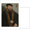 Portrait of a man, 1557 by Lucas Cranach the Younger